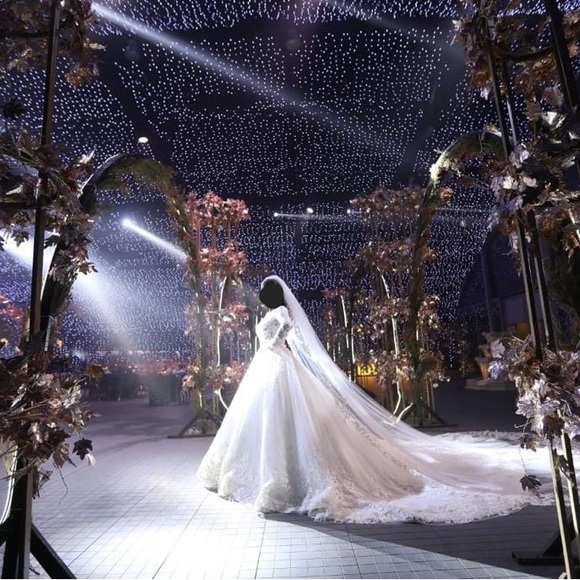 Wedding Dress by Tony Ward - Picture 4 of 5